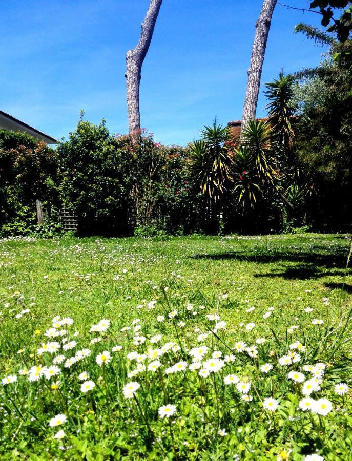 Il Gelsomino Villa Forte dei Marmi Exterior photo