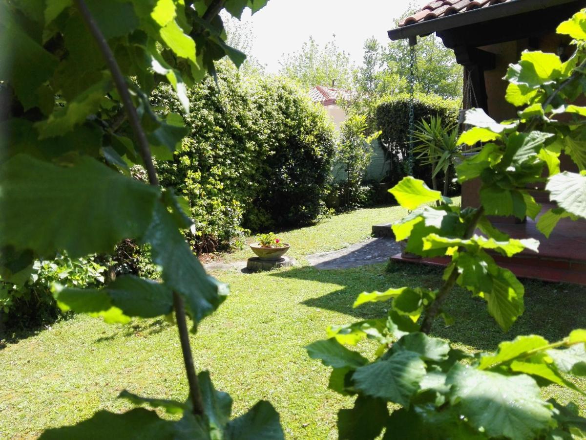 Il Gelsomino Villa Forte dei Marmi Exterior photo